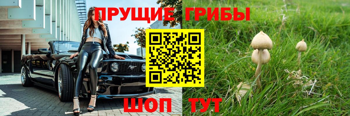 Галлюциногенные грибы прущие грибы Назарово