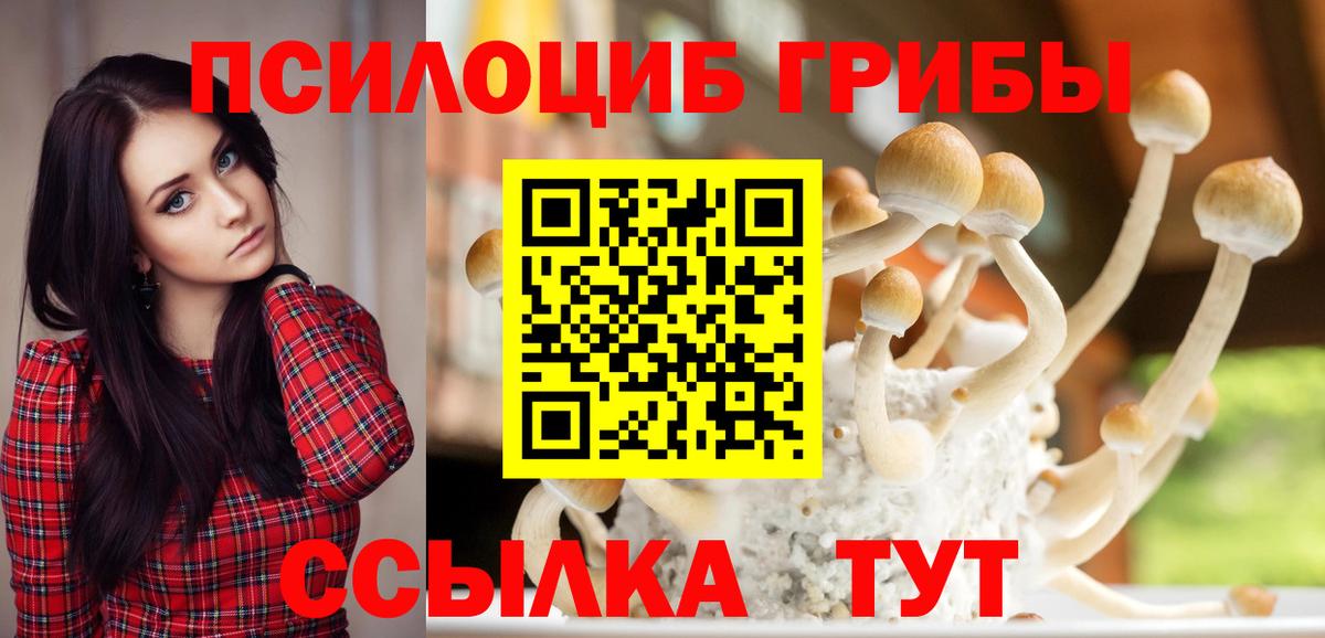 Назарово  Галлюциногенные грибы прущие грибы  Вход с VPN 
